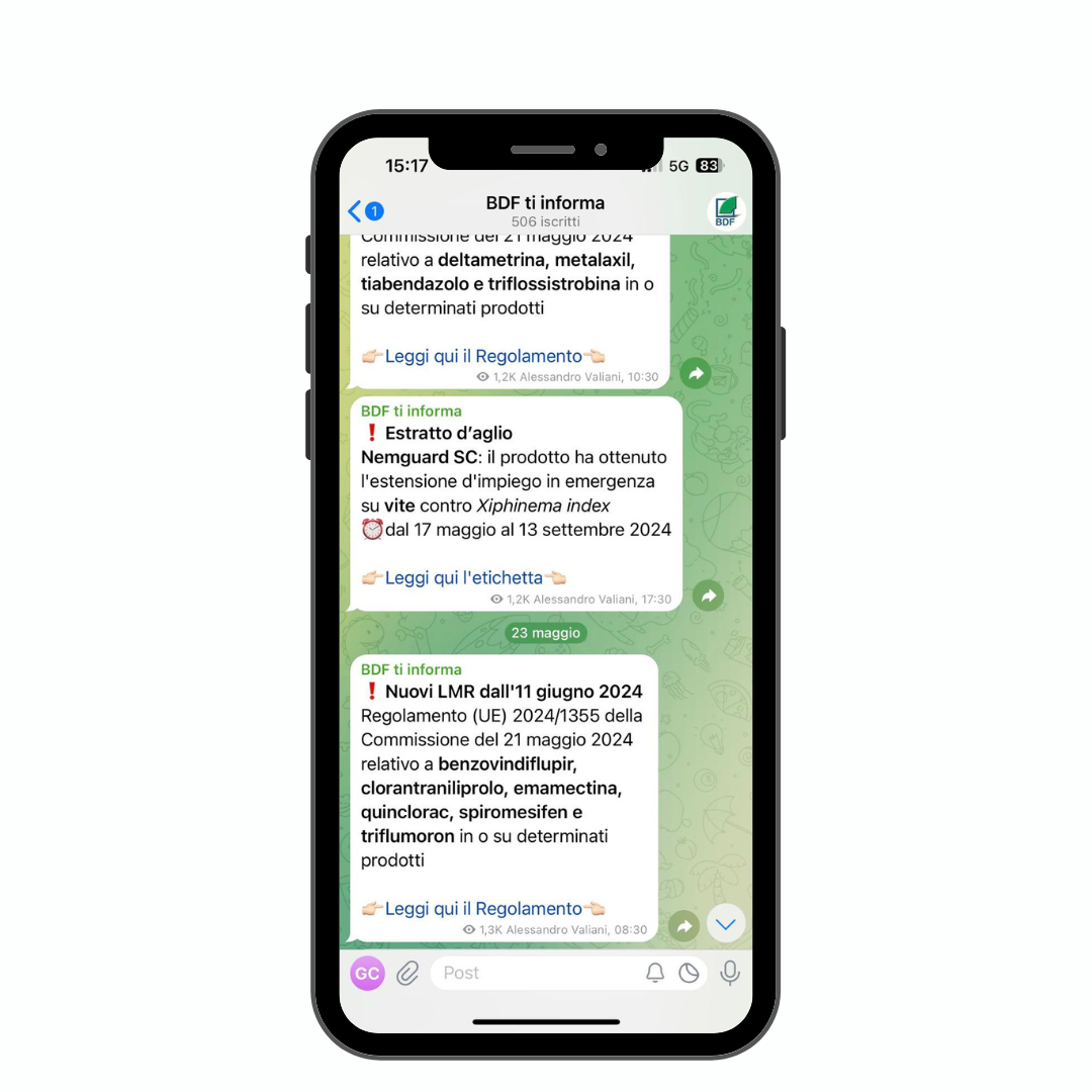 BDF ti informa - immagine 2