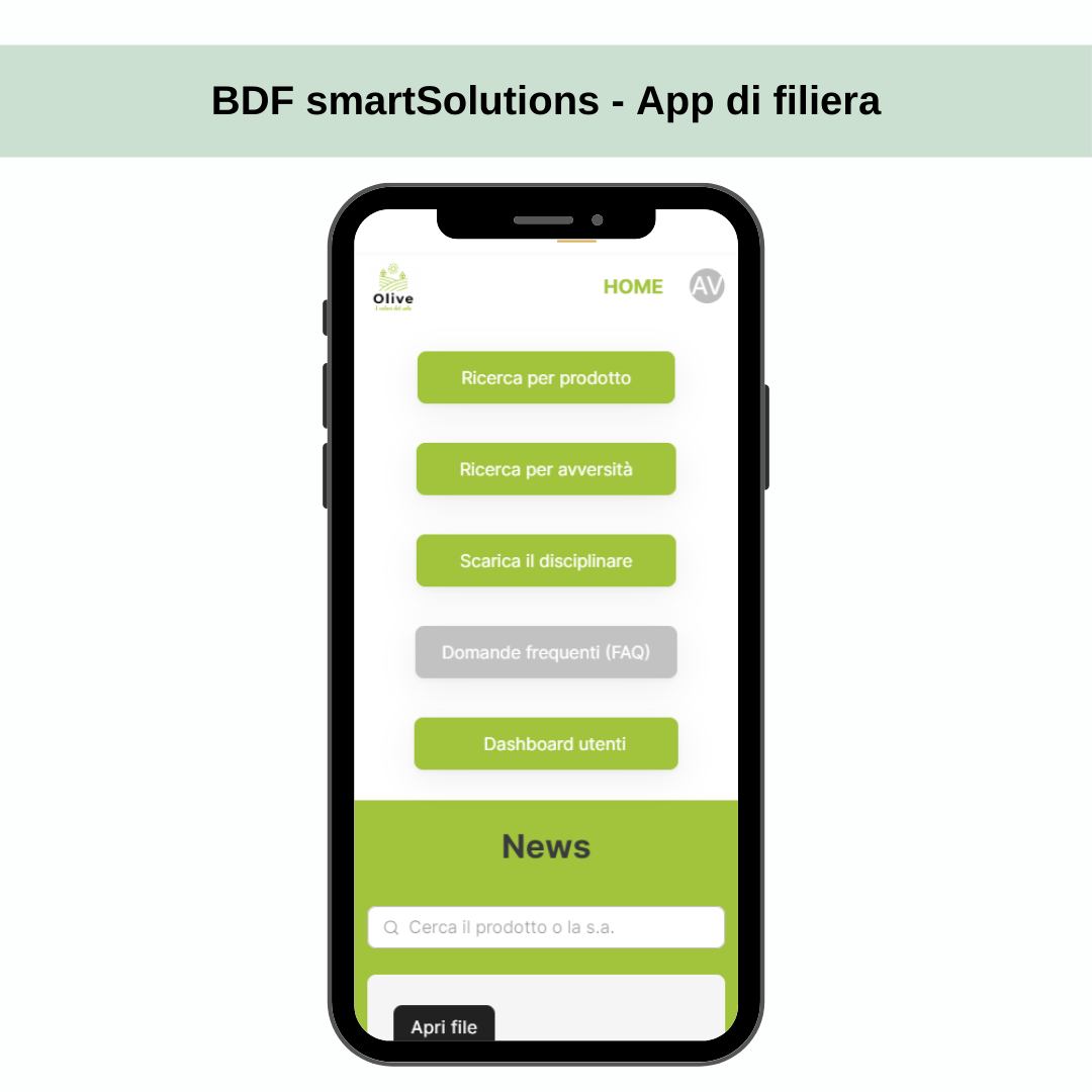 BDF smartSolutions - immagine 4