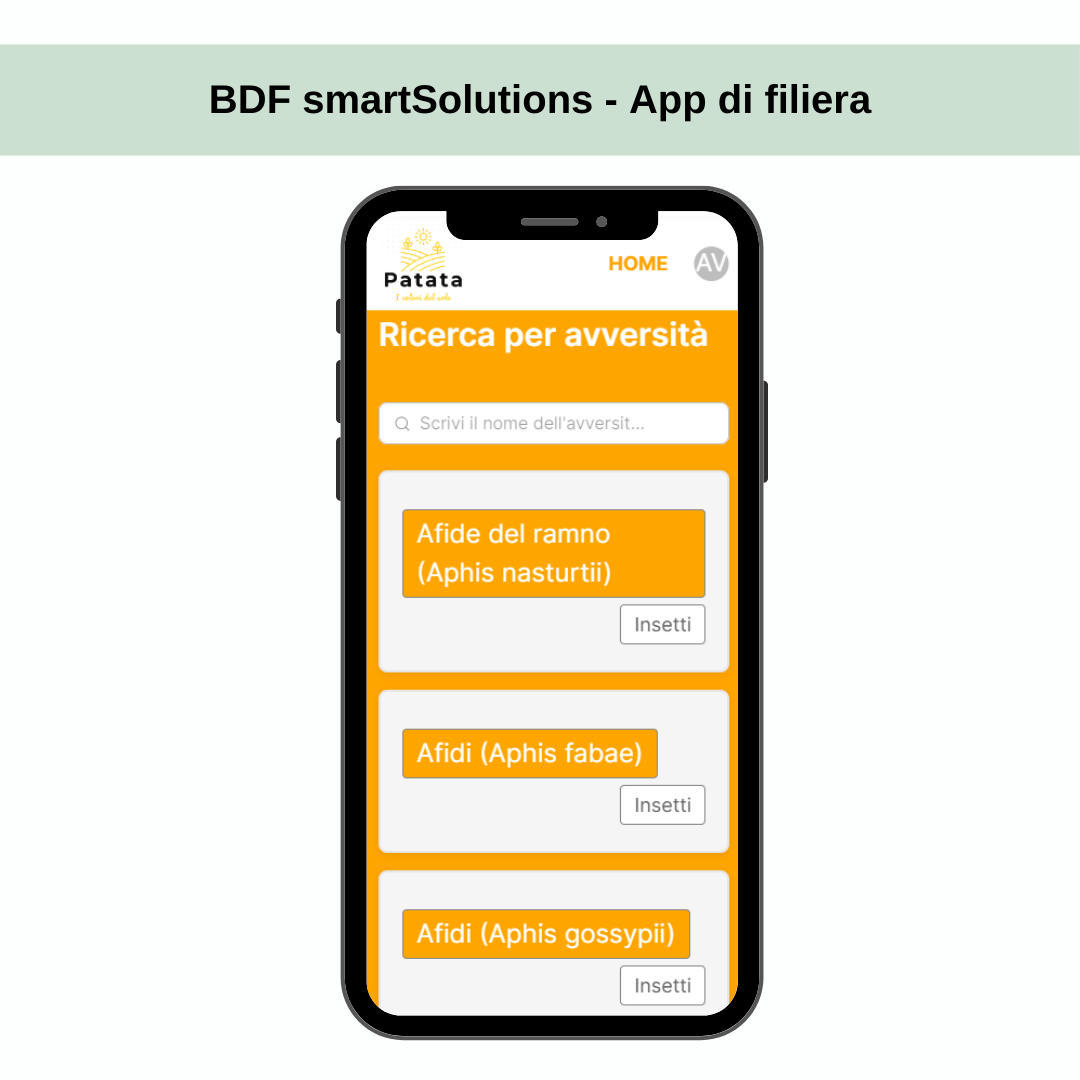 BDF smartSolutions - immagine 3